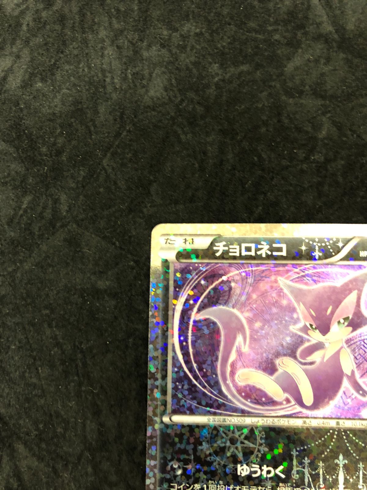 ポケモンカード チョロネコ U SC 013/020 シャイニーコレクション