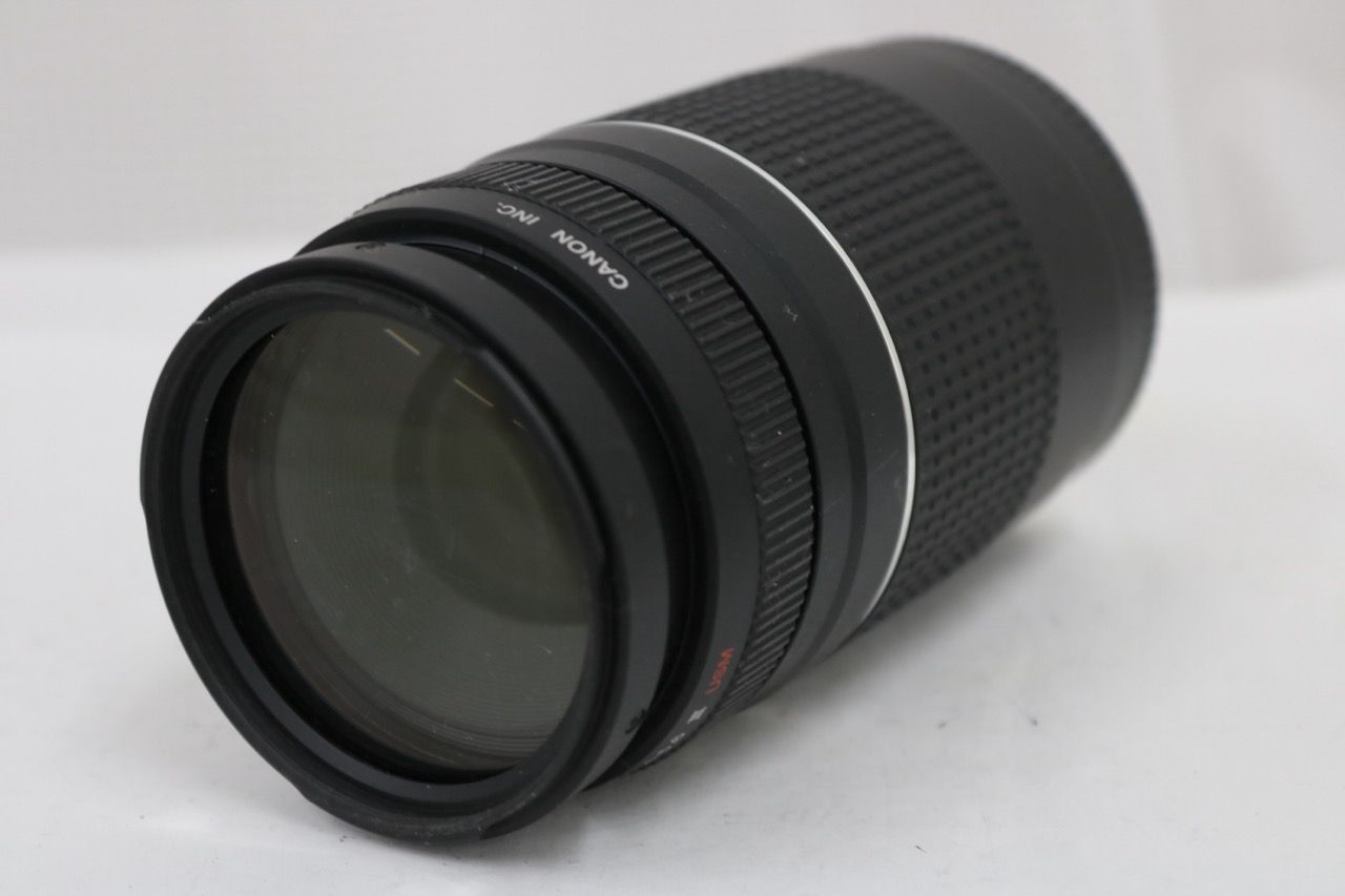 【返品保証】 キャノン Canon EF 75-300mm F4-5.6 III USM ULTRASONIC レンズ e13704