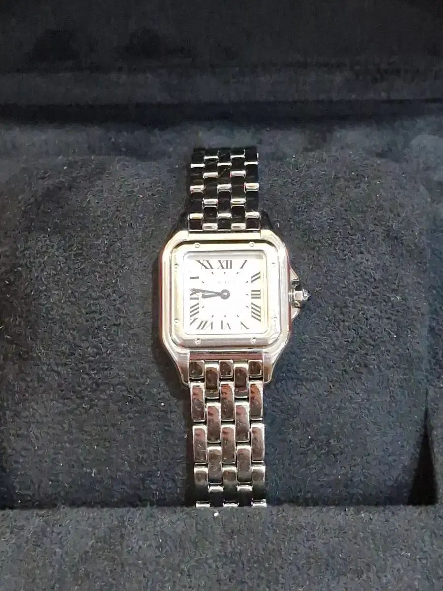 Cartier カルティエ フェンダー スモール スチール 韓国国内 フルセット