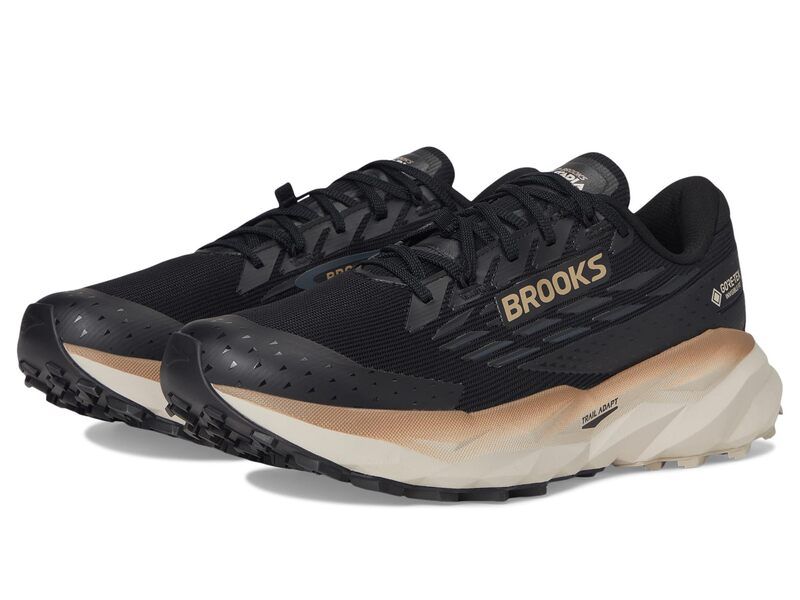 ブルックス メンズ シューズ スニーカー Brooks Cascadia 19 GTXR BlackEbonyCha ブラック