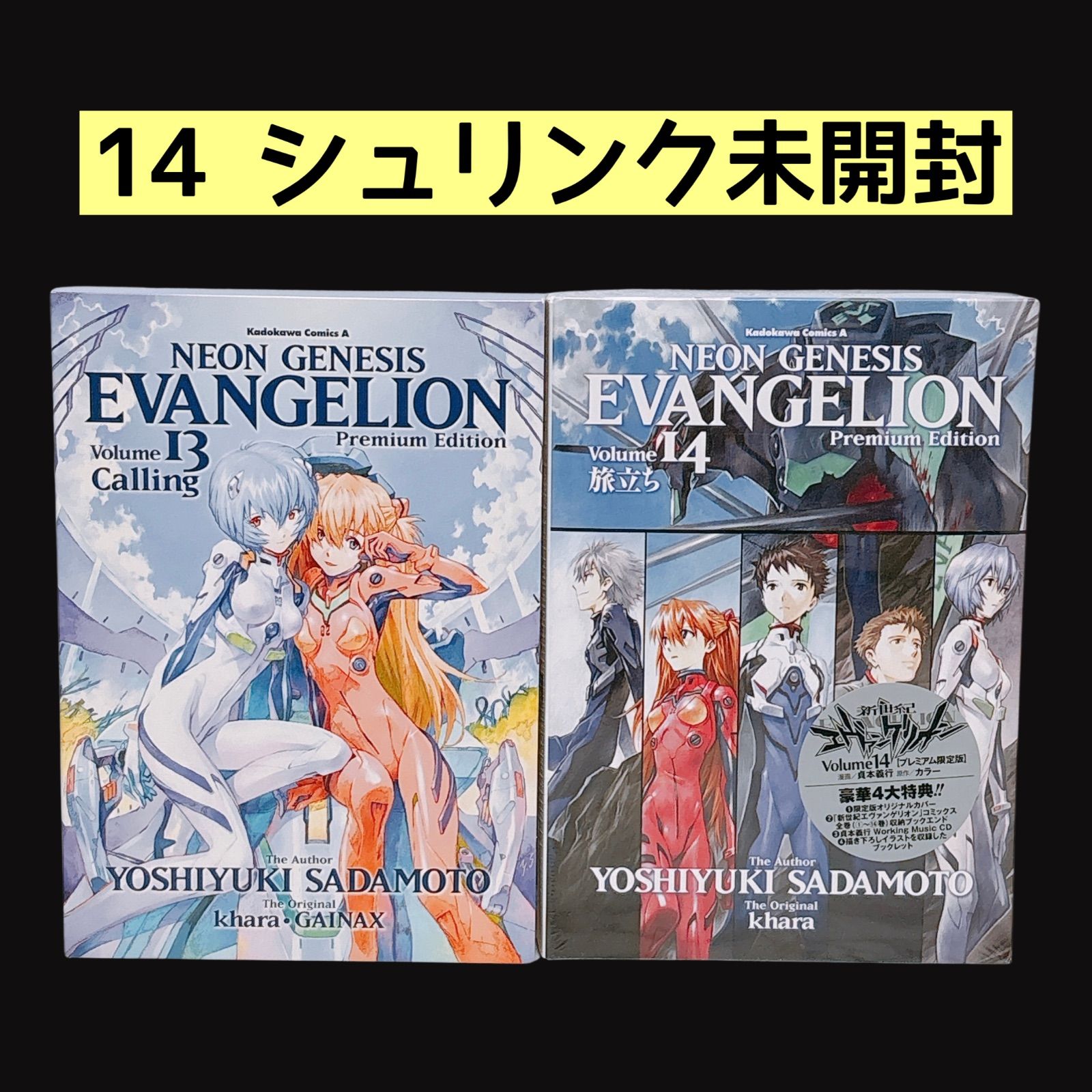 新世紀エヴァンゲリオン プレミアム限定版 13 14 未開封あり