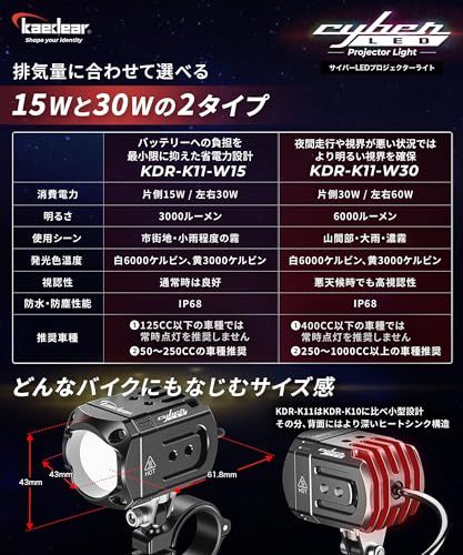 R◇Kaedear(カエディア) バイク フォグランプ LED 後付け フォグ 補助