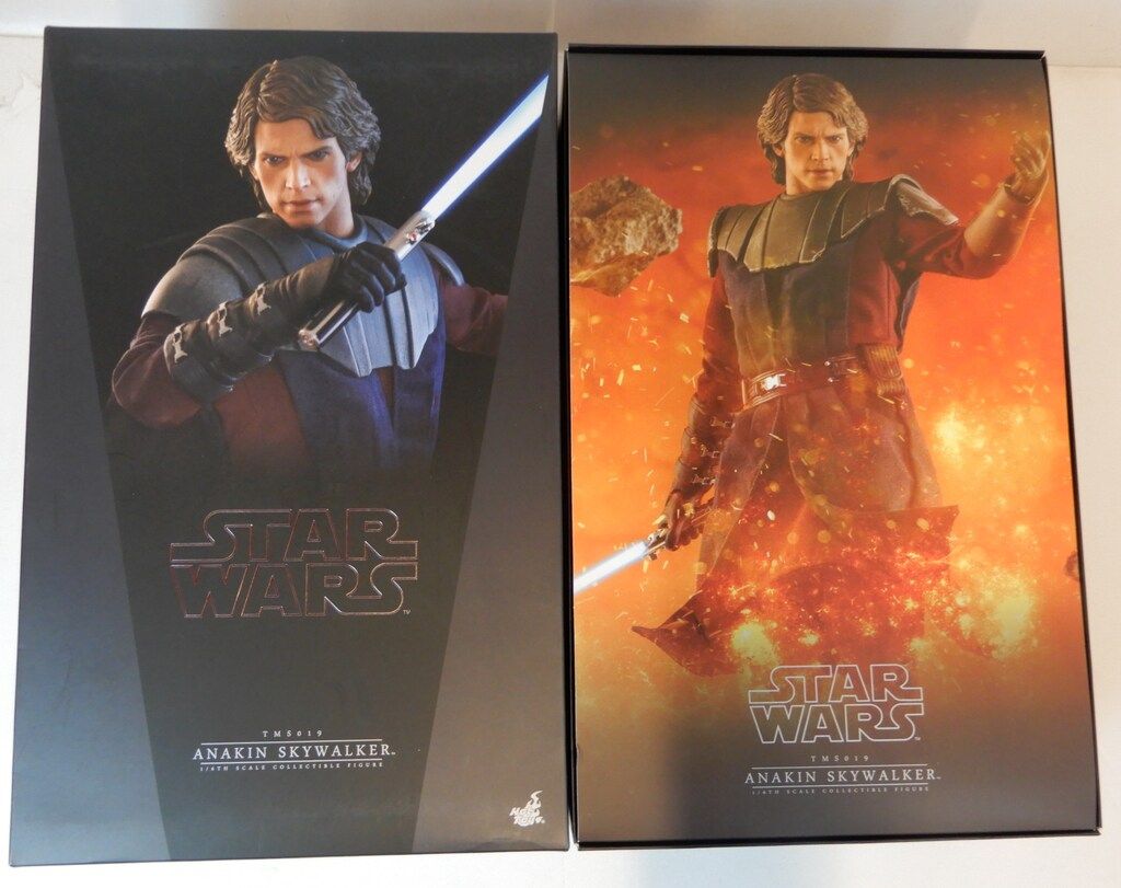 HOTTOYS TELEVISION MASTERPIECE ANAKIN SKYWALKER (通常版) TMS019