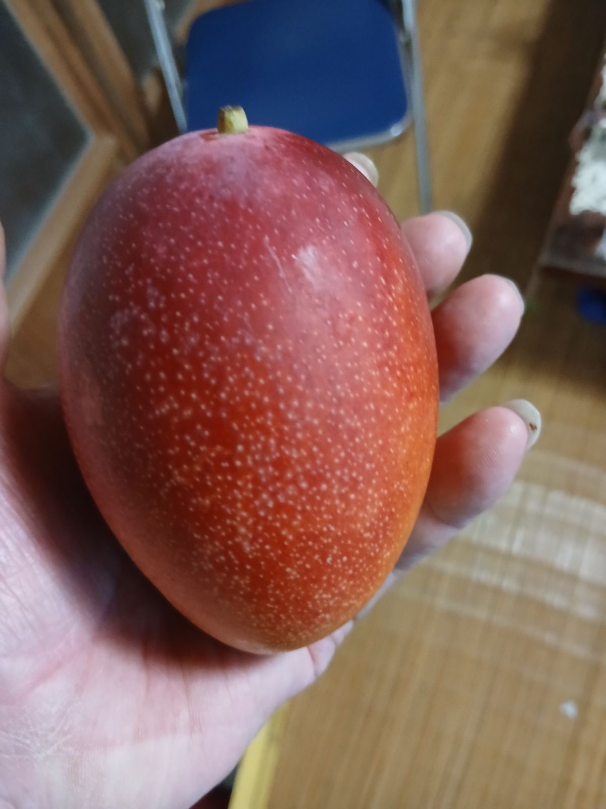宮崎完熟マンゴー2玉700g＆お芋1kgプレゼント - メルカリ