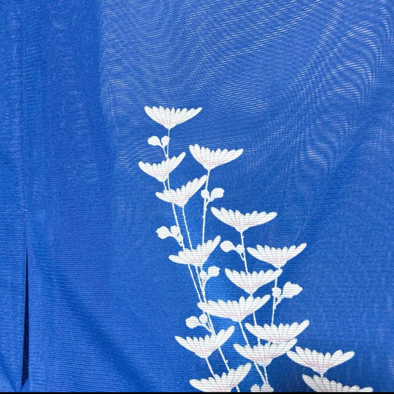 東レ 絽 訪問着 フルセット 夏袋帯 夏帯締め 夏帯揚げ 洗える着物