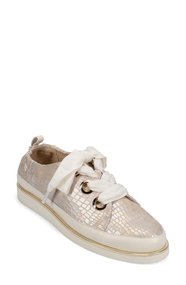 ベネリ レディース シューズ スニーカー トール VANELi Quenda Metallic Sneaker Champagne シャンパン