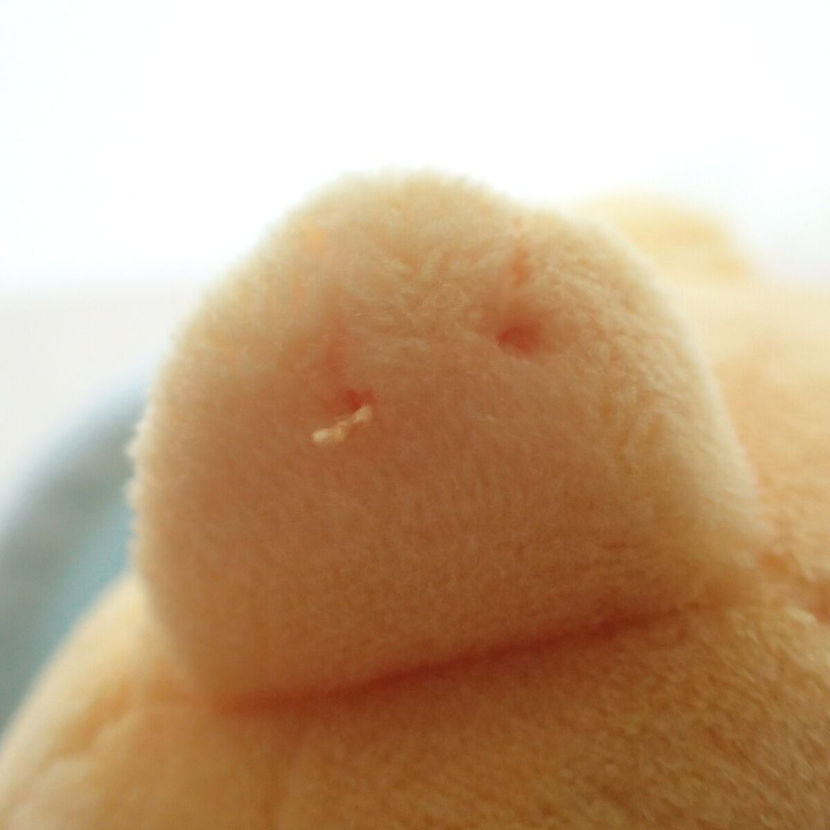 ポケモンセンター ぬいぐるみ メガチルタリスのポンチョを着た
