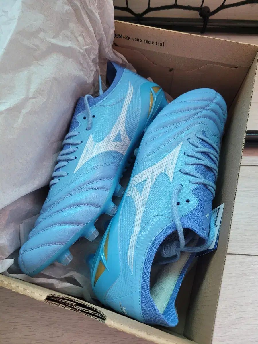 mizuno モレリア NEO₍ネオ) 4 エリート 265
