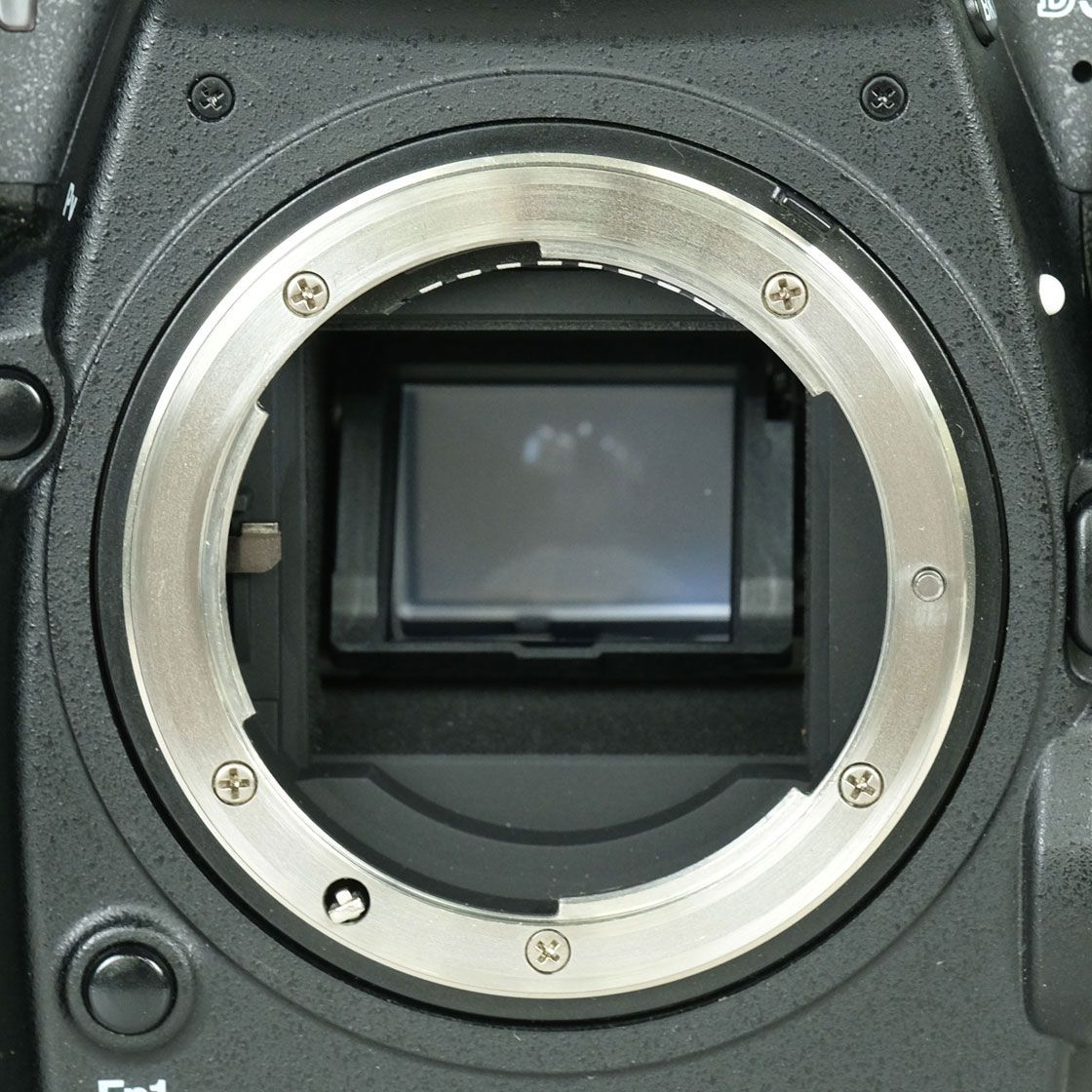 美品 | シャッター数14,100回] Nikon D500 [ボディ] | Nikon Fマウント