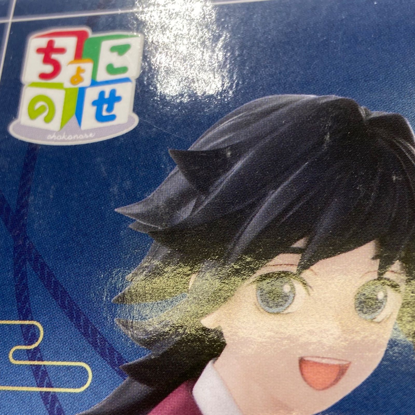 鬼滅の刃 ちょこのせプレミアムフィギュア 幼少期の冨岡義勇 柱稽古編 