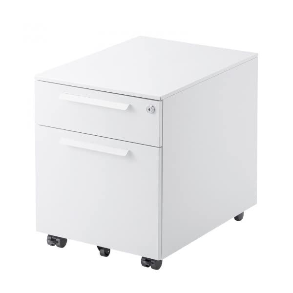 サンワサプライ キャビネット SNW-105W
