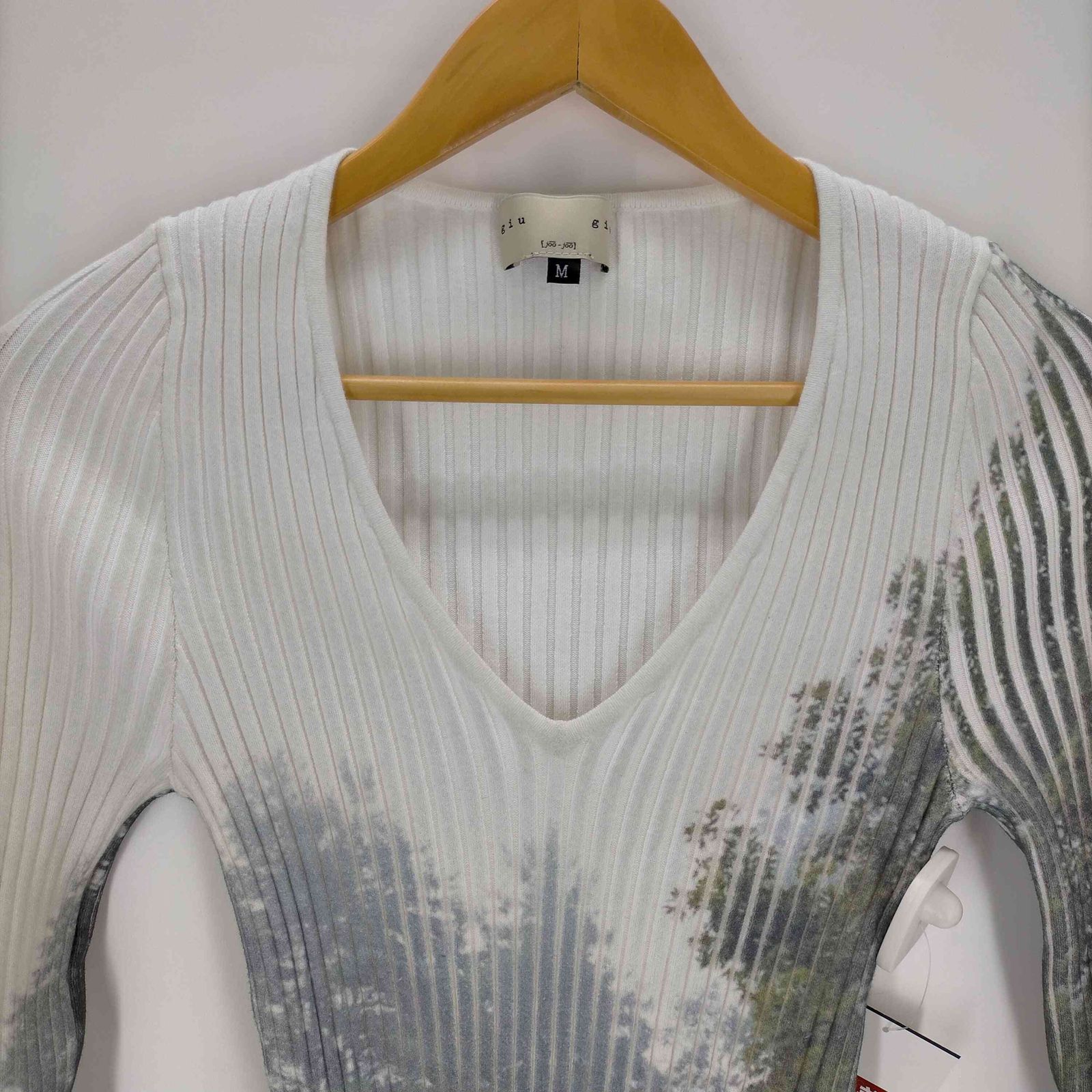 ユーズドフルギ USED古着 giugiu NONNA V DRESS FORÊT ENCHANTÉE レディース JPN:M ユーズドフルギ USED古着 giugiu NONNA V DRESS FORÊT ENCHANTÉE レディース JPN:M