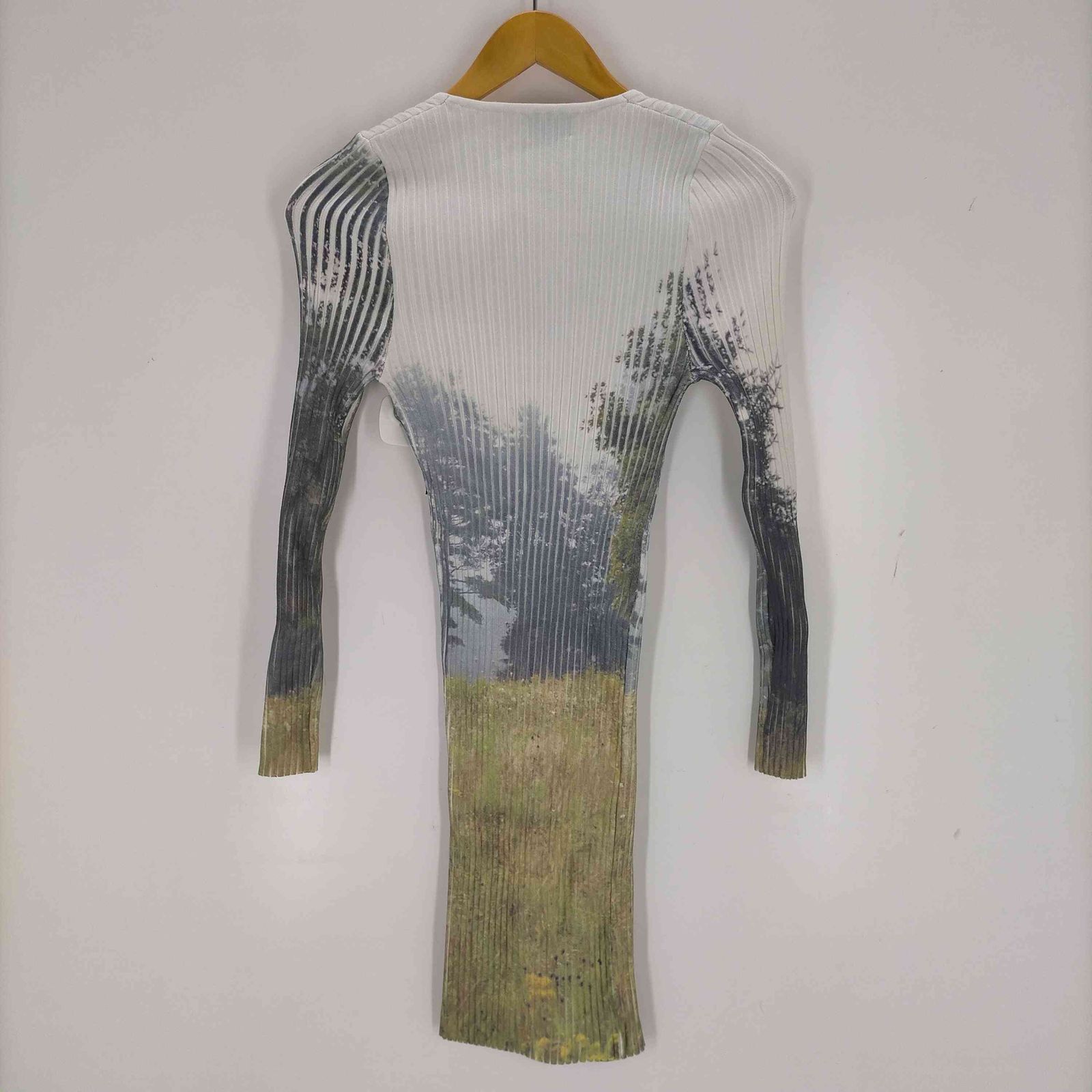 ユーズドフルギ USED古着 giugiu NONNA V DRESS FORÊT ENCHANTÉE レディース JPN:M ユーズドフルギ USED古着 giugiu NONNA V DRESS FORÊT ENCHANTÉE レディース JPN:M