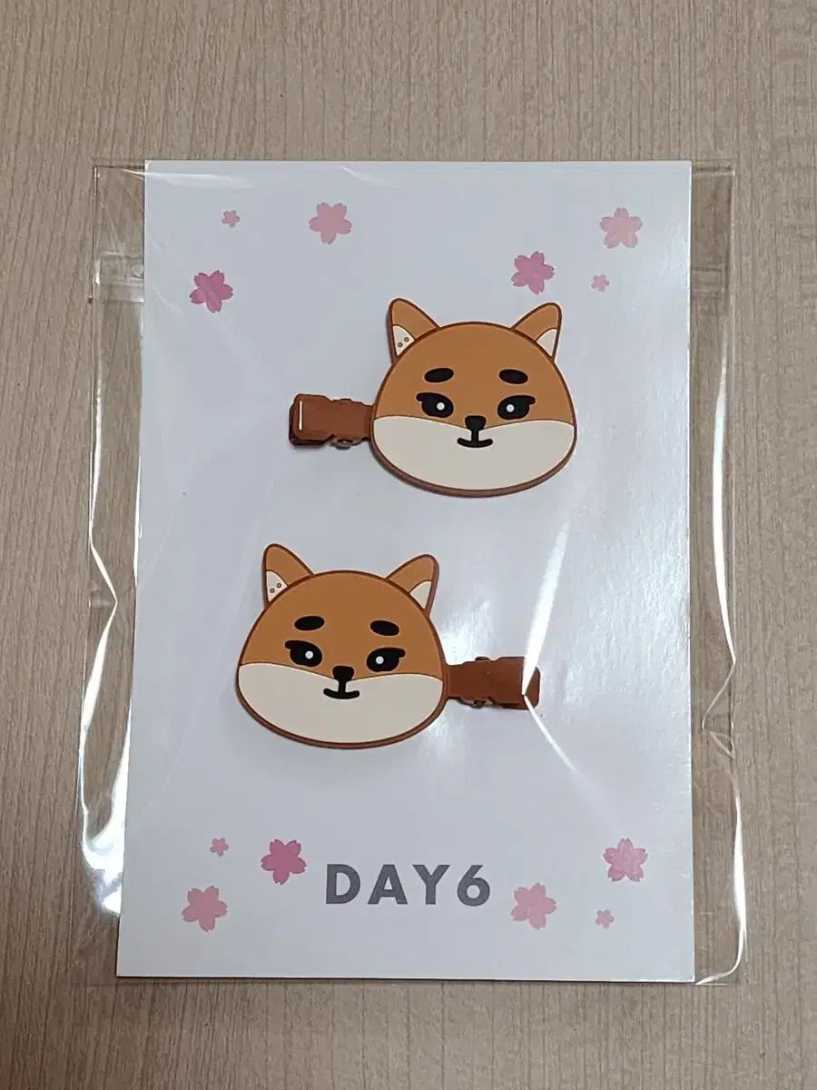 DAY6（デイシックス）横浜（ヨコハマ）リーピン（ピン）