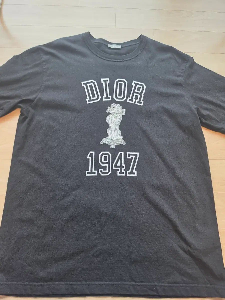 ディオール 半袖TシャツL (105)