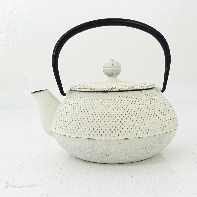 三重店】岩鋳 Iwachu 南部鉄器 南部鉄瓶 急須 日本製 ホワイト(ENCHAN