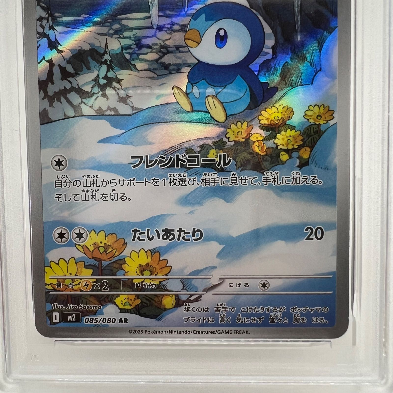 PSA10】ポッチャマ [AR] 085/080 メガドリームex - メルカリ