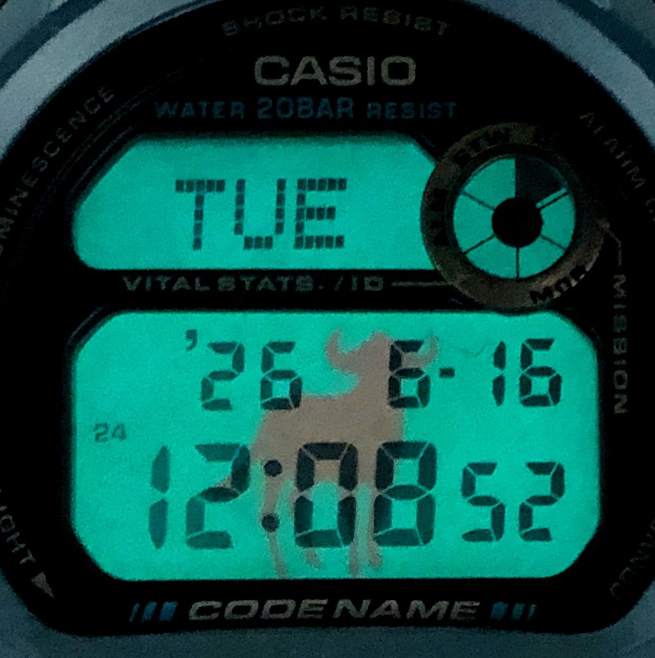 G-SHOCK ジーショック DW-8800MM-2T CODE NAME マサイマラ 迷彩 クロスバンド ヌーEL メタリックブルー 1997年11月発売 G-SHOCK ジーショック DW-8800MM-2T CODE NAME マサイマラ 迷彩 クロス