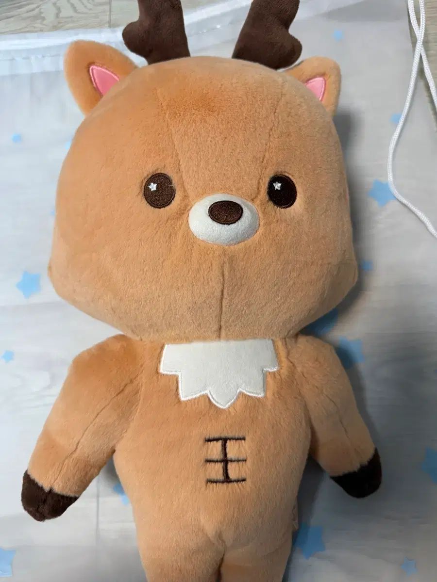 RIIZE（ライズ）ソンチャン(SUNGCHAN) ぬいぐるみ ウロックバル 40cm 出品