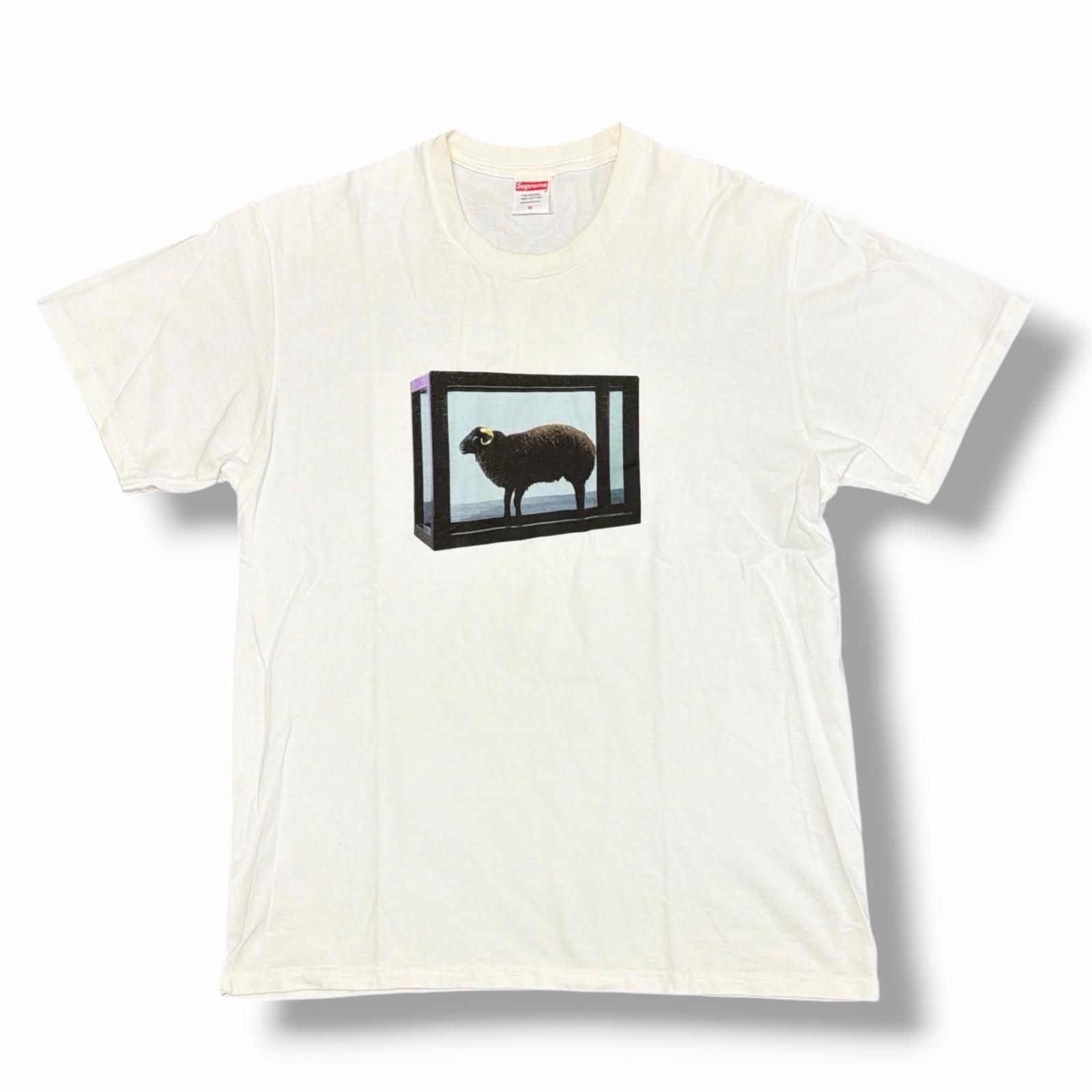 国内正規 参考上代9,350 円 Supreme 25SS Damien Hirst Sheep Tee Tシャツ 半袖カットソー シュプリーム ホワイト M （5923M）