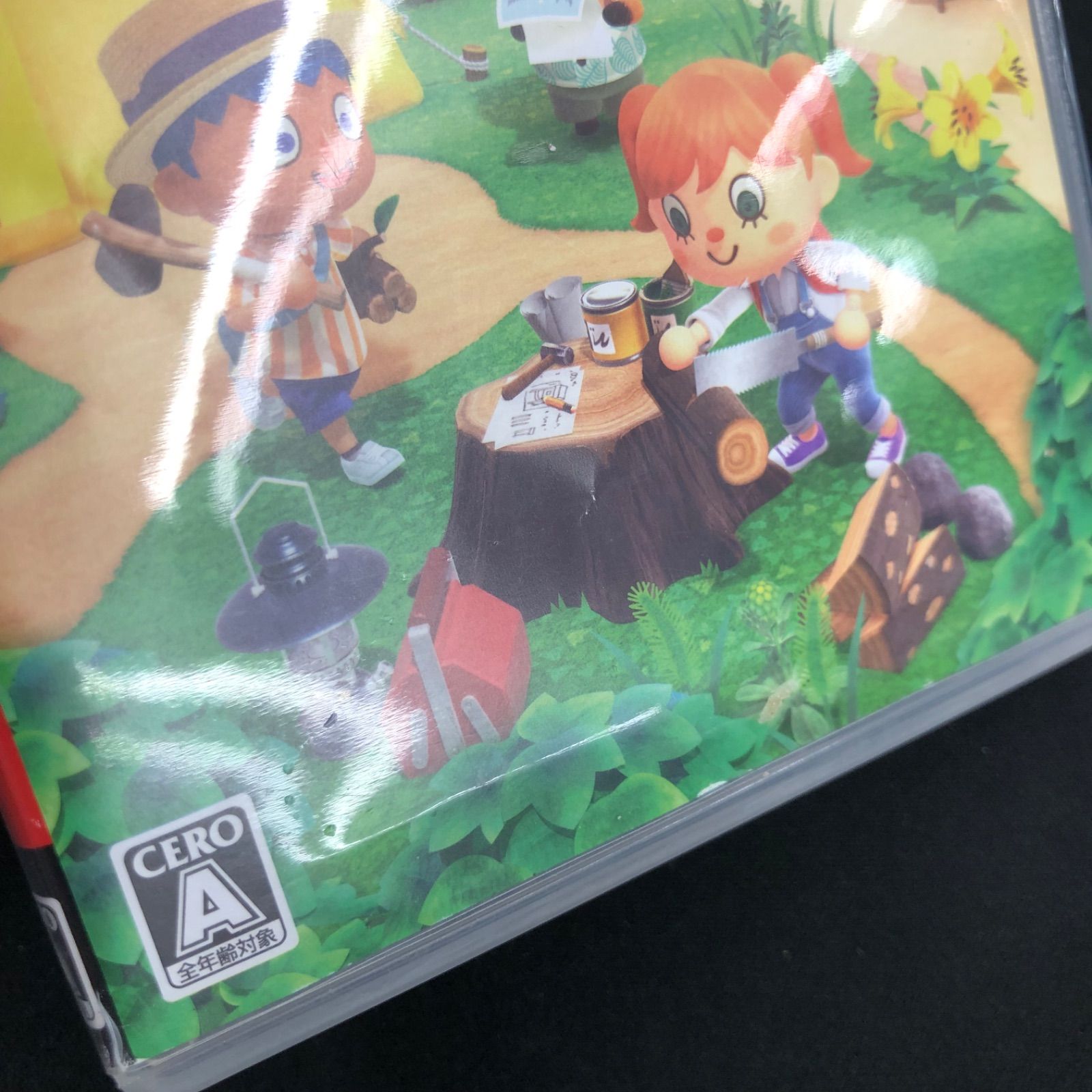 中古 Switch あつまれどうぶつの森 ポケモンレジェンズZ-A セット