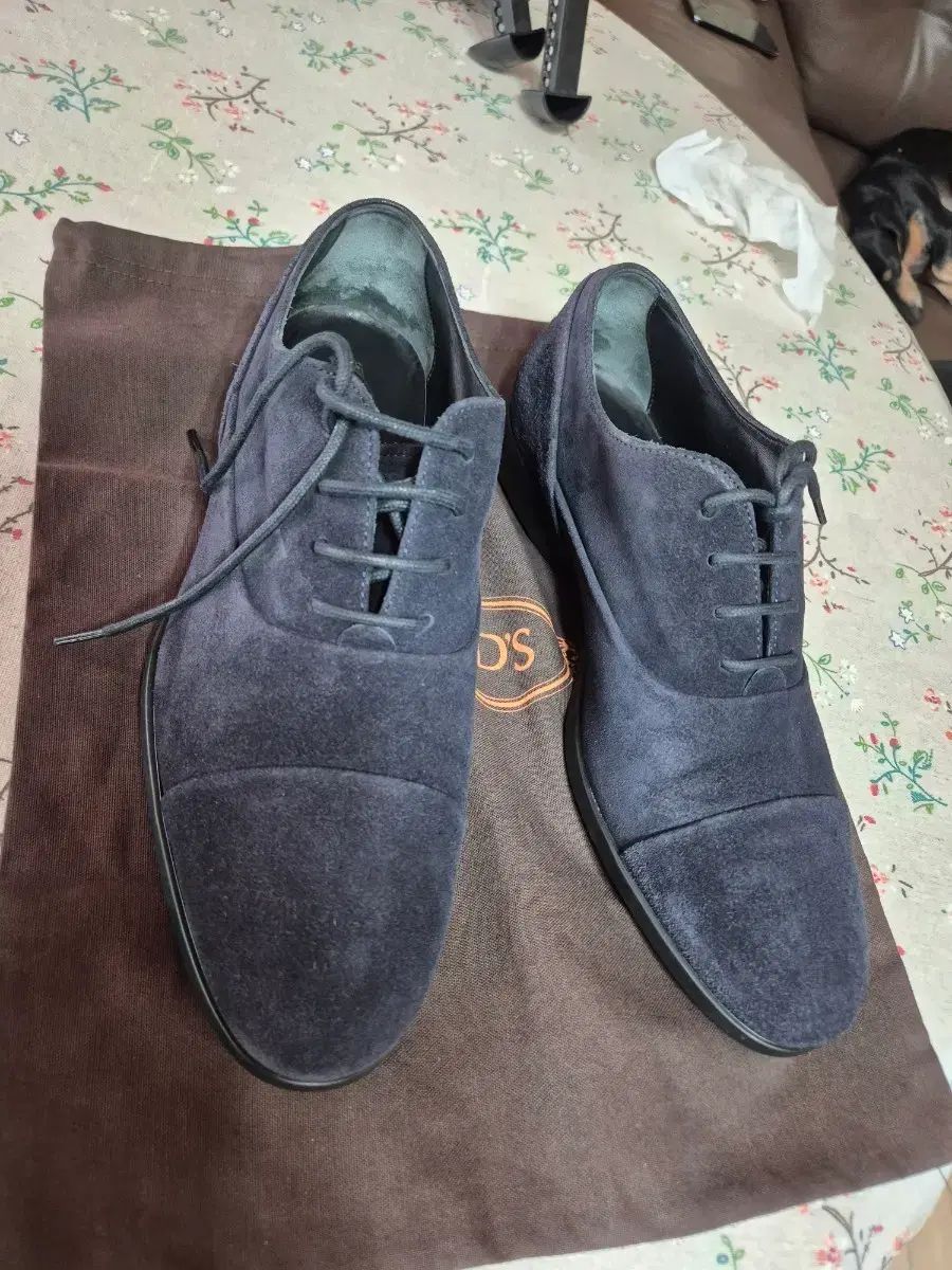 TOD'S スウェード Oxford シューズ ネイビー