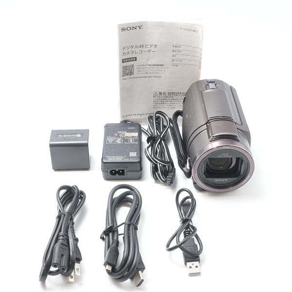 ソニー SONY Handycam FDR-AX45 TI