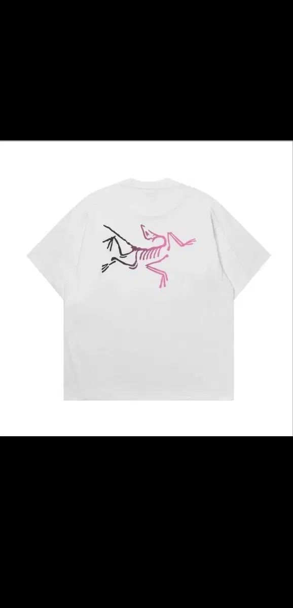 ARC'TERYX アークテリクス 半袖Tシャツ 白 新品