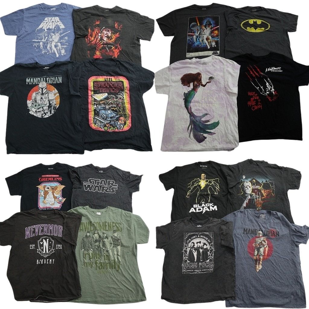 古着卸 まとめ売り 映画・ドラマ Tシャツ 16枚セット ( メンズ XL ) スターウォーズ バッドマン アリエル 中古 古着 NF3472