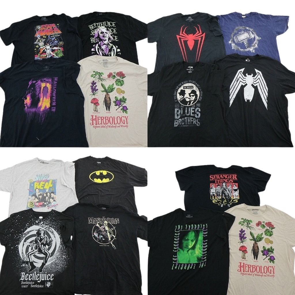 古着卸 まとめ売り 映画・ドラマ Tシャツ 15枚セット ( メンズ 3XL ) ストレンジャーシングス バッドマン スパイダーマン 中古 古着 NF3481