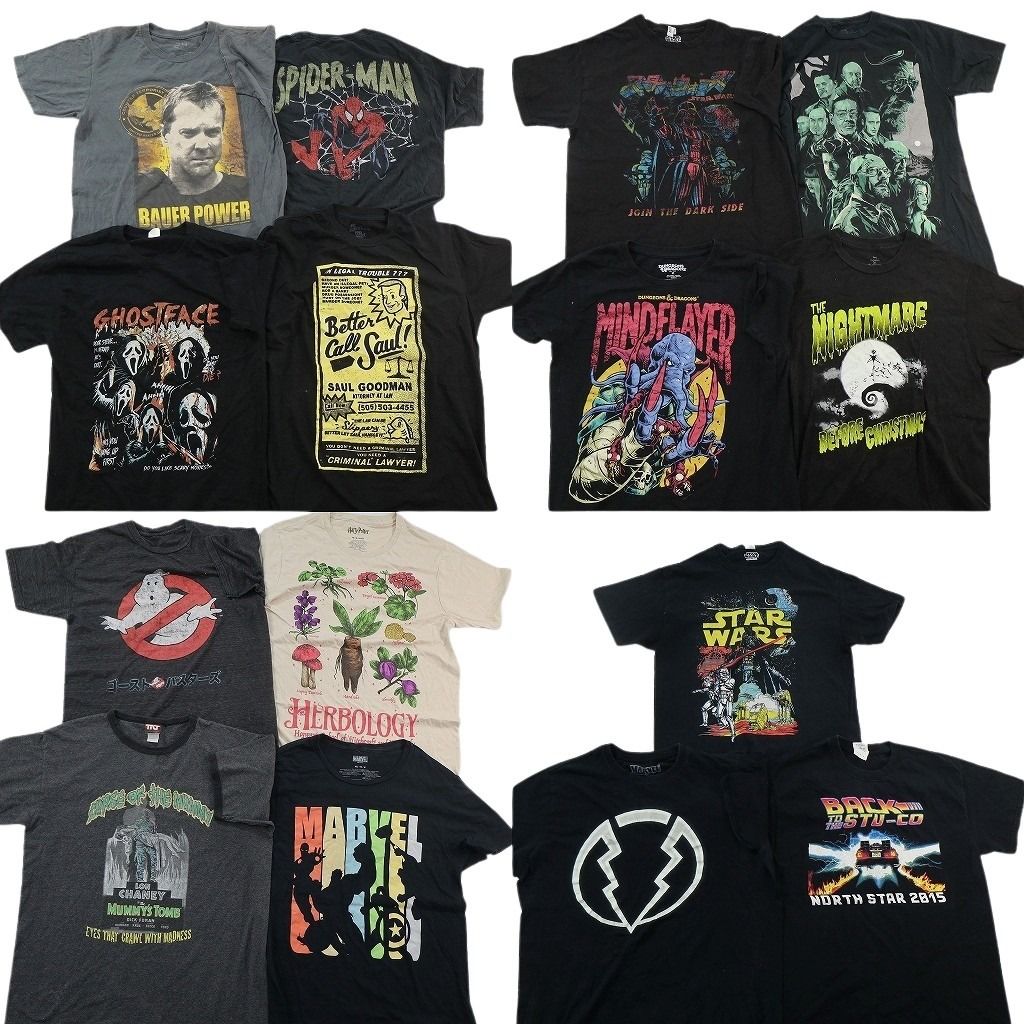 古着卸 まとめ売り 映画・ドラマ Tシャツ 15枚セット ( メンズ M ) スターウォーズ バックトゥザフューチャー 中古 古着 NF3491