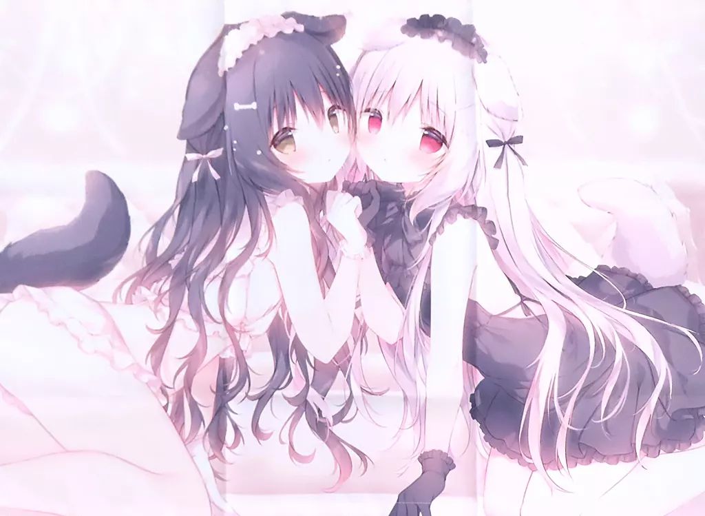 【中古】同人ポスター・タペストリー・カレンダー系 【オリジナル】B2Wスエードタペストリー しろいいぬ＆くろいいぬ(しらたま) FANBOX継続特典/しらたまこ