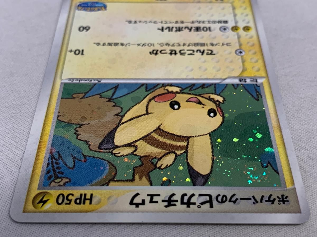 ポケパークのピカチュウ [ポケパークプレミアムファイル フォレスト