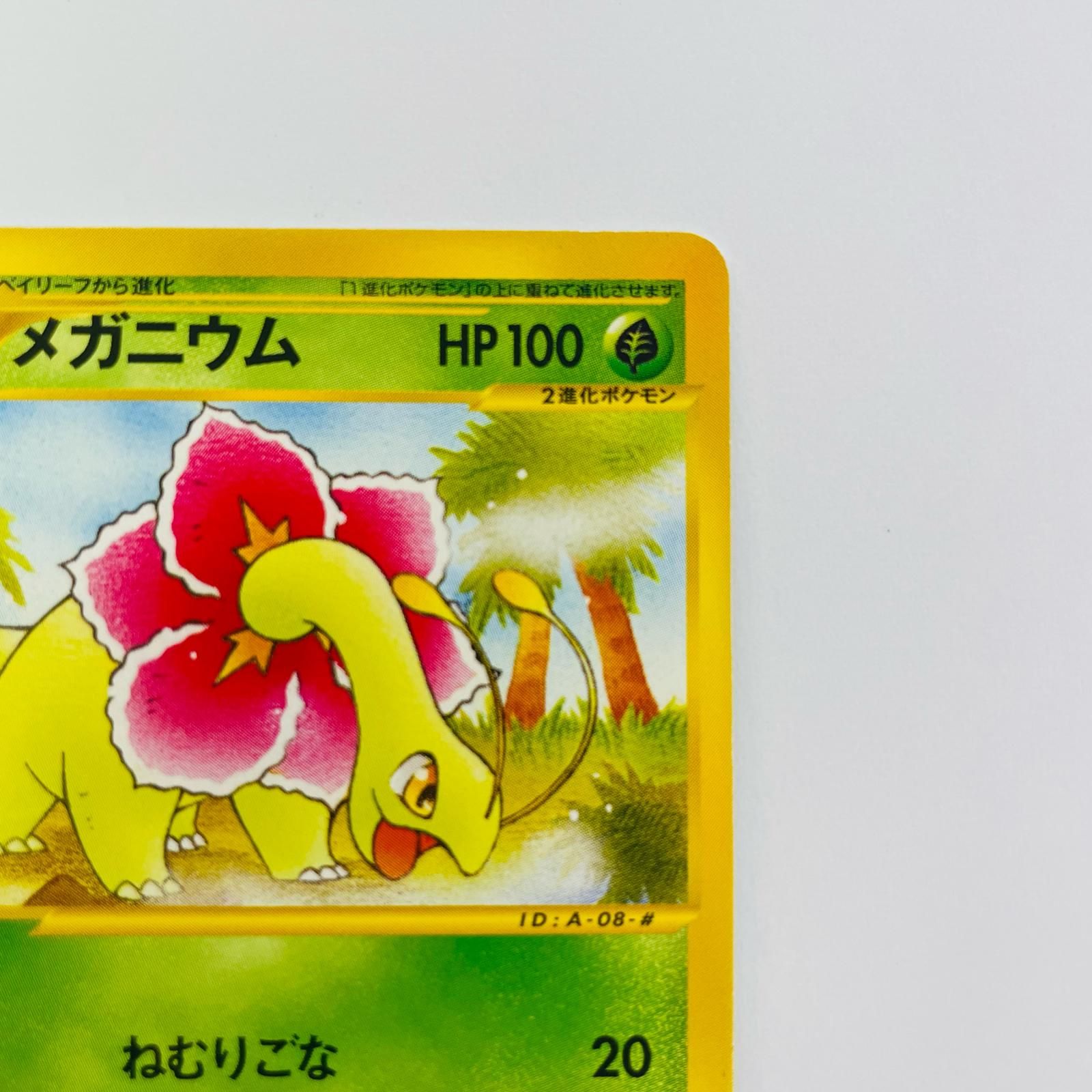 飾磨店】 中古 メガニウム eカード - メルカリ