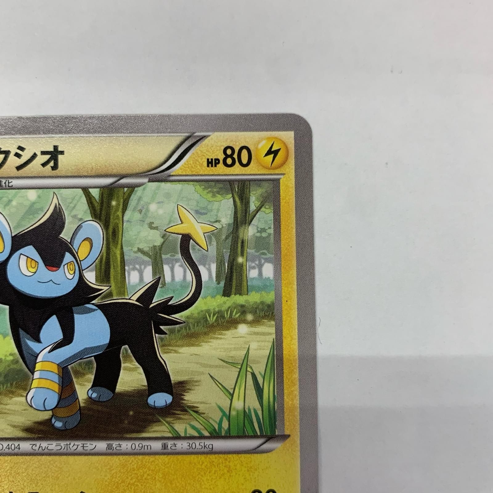 飾磨店】 中古 ルクシオ - 179/XY-P - メルカリ