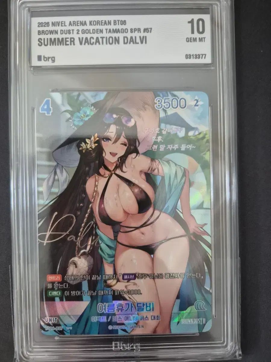 ニベルArena ブラウンダスト2 달비 SPR スポーツブラ BRG 10