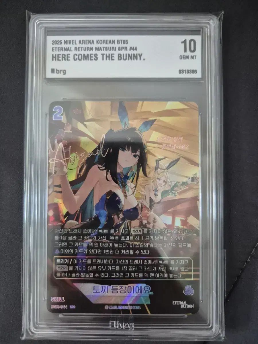 ニベルアリーナEternal Return アビゲイル SPR BRG 10