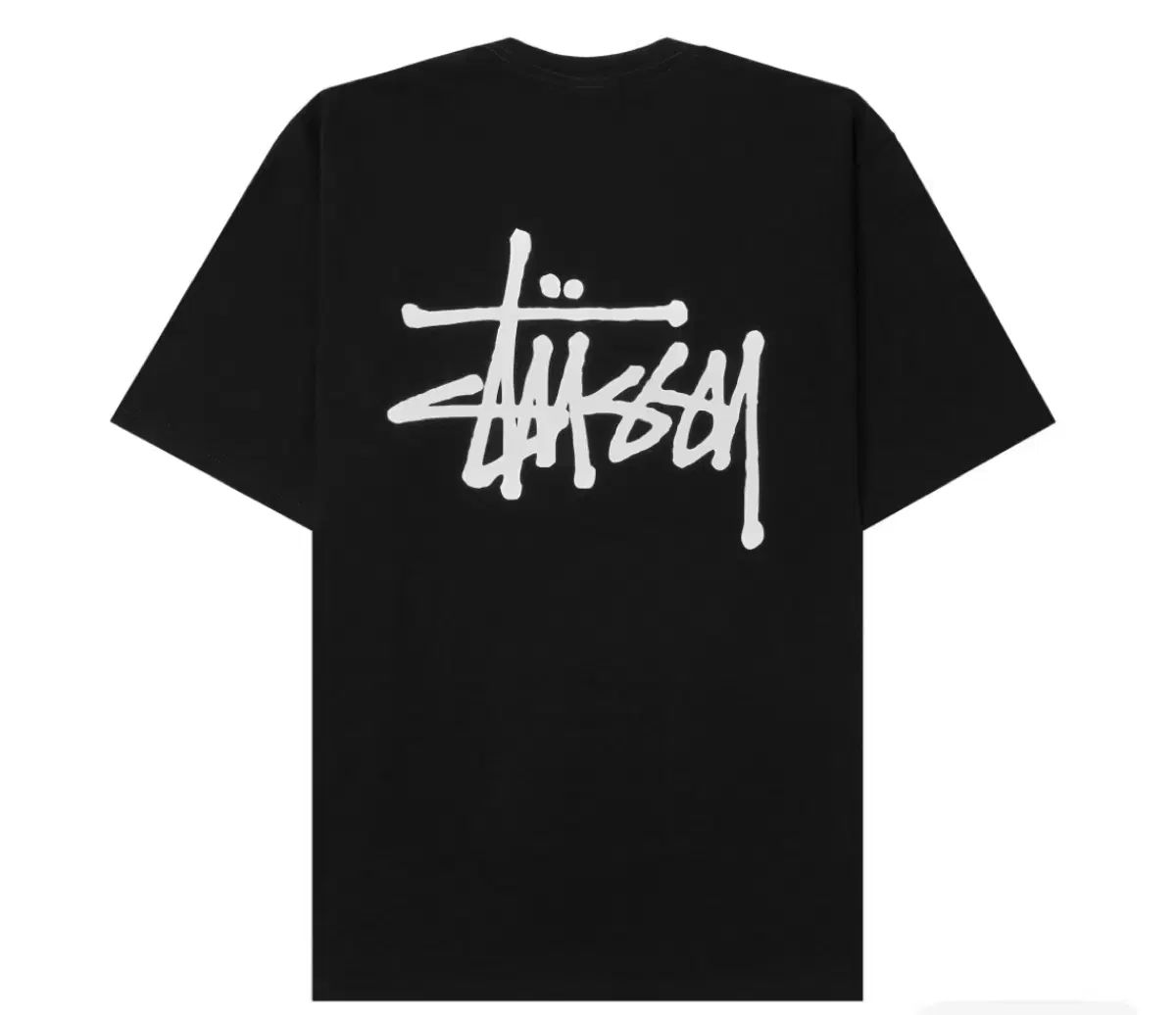 STUSSY Tシャツ