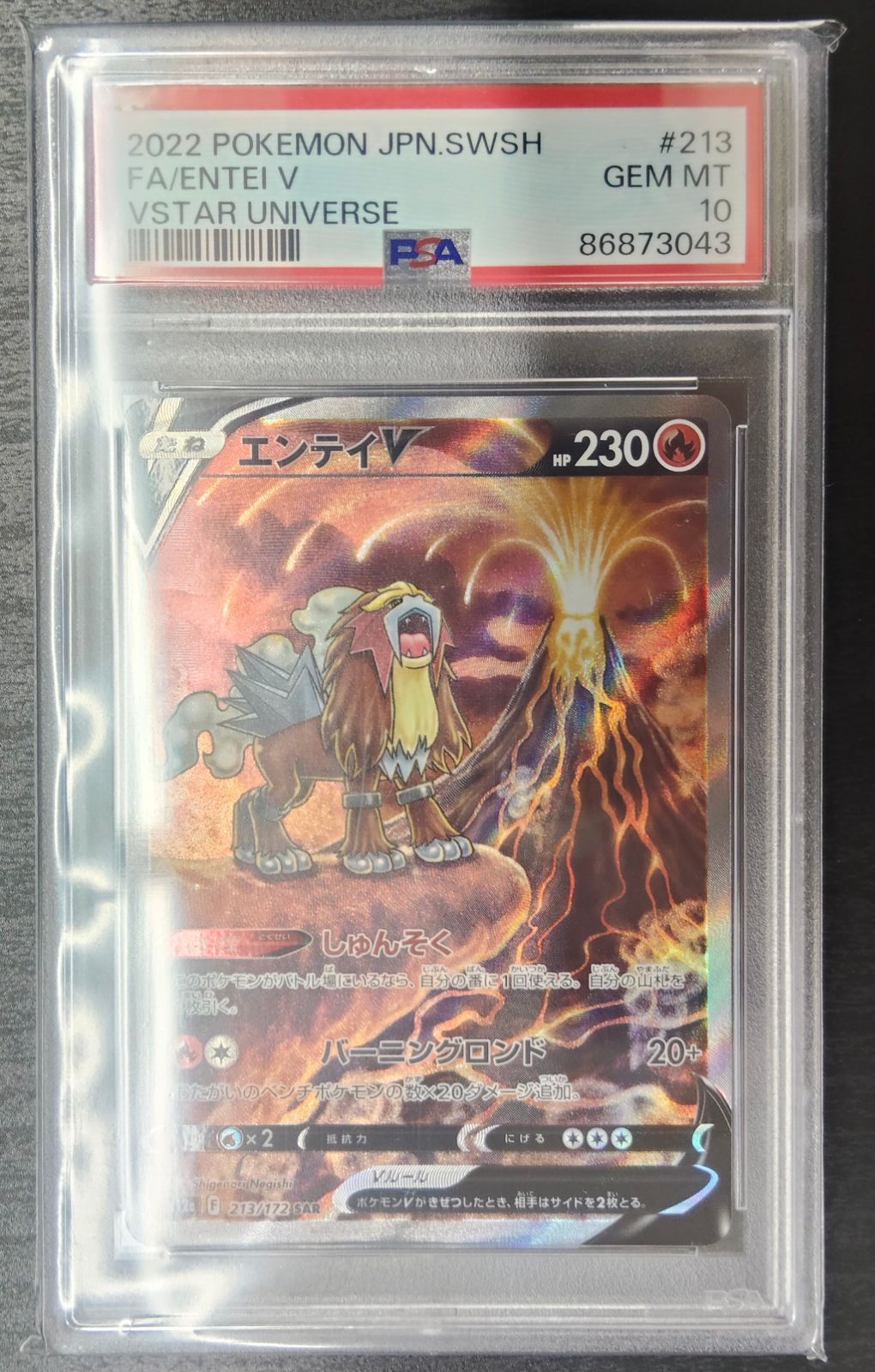 PSA10】エンテイV SAR VSTARユニバース s12a 213/172 Entei Japanese