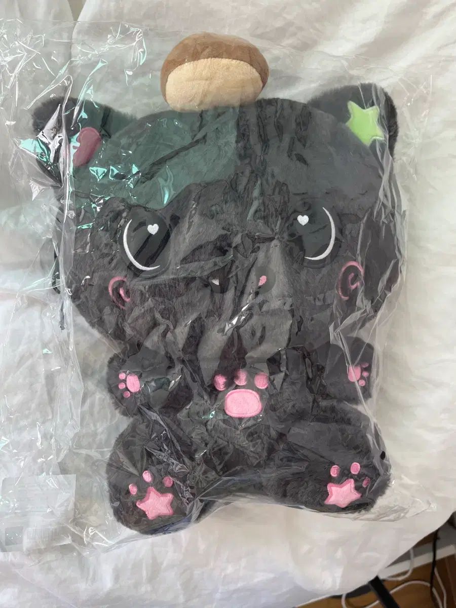 開封のみ 30cm あずまんが大王 WIND AND WISH ドール リー 出品