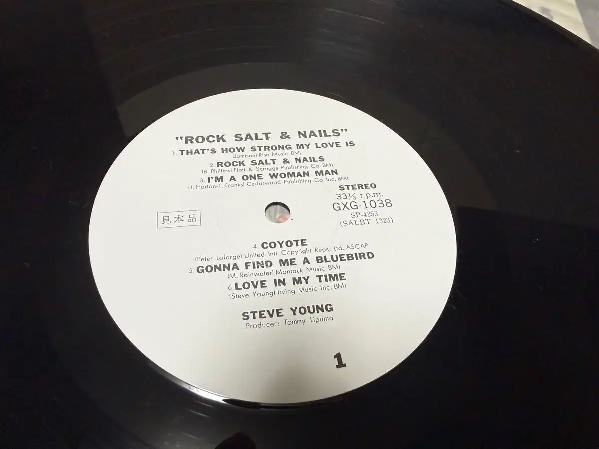 (日本 PROMO LP ） Steve Young ー 日本 早い