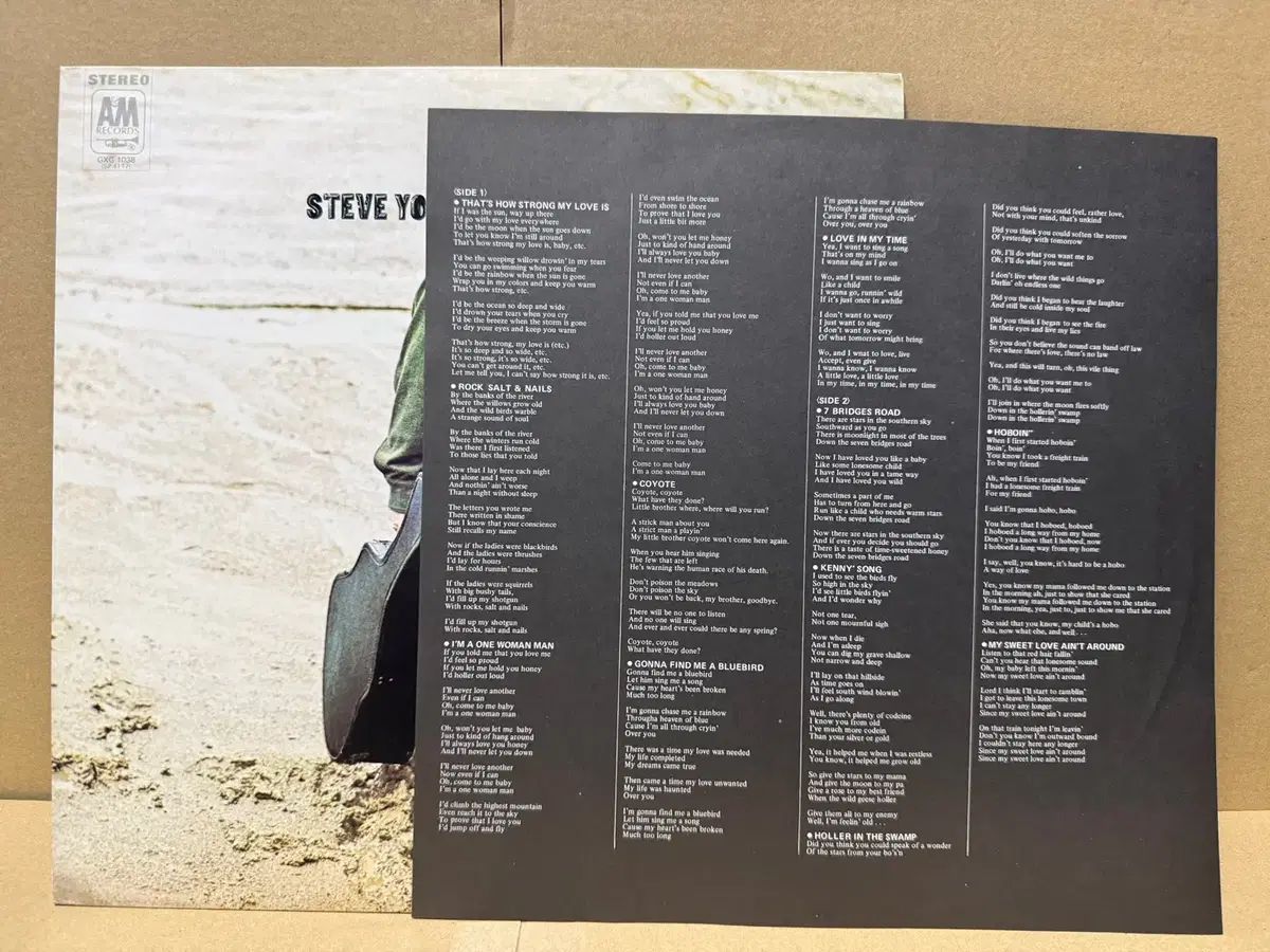 (日本 PROMO LP ） Steve Young ー 日本 早い