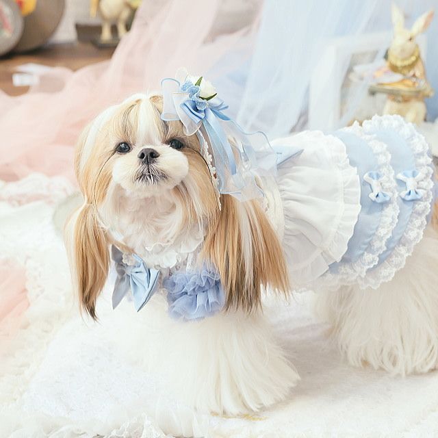 かわいい 新作 犬 アクセリボン CanNana 【きゃんナナ】アリスの