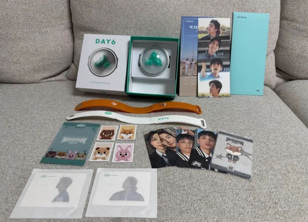 DAY6 OFFICIAL LIGHT BAND Day6 ペンライト