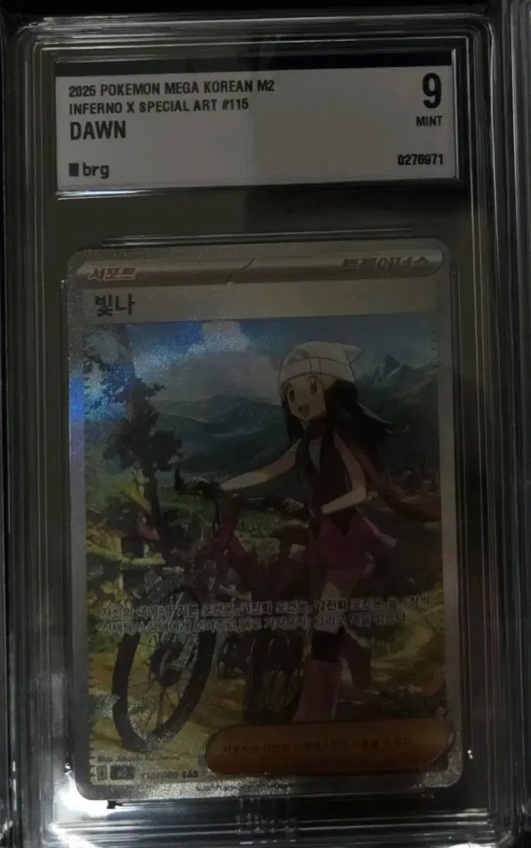 BRG9 SAR 光り