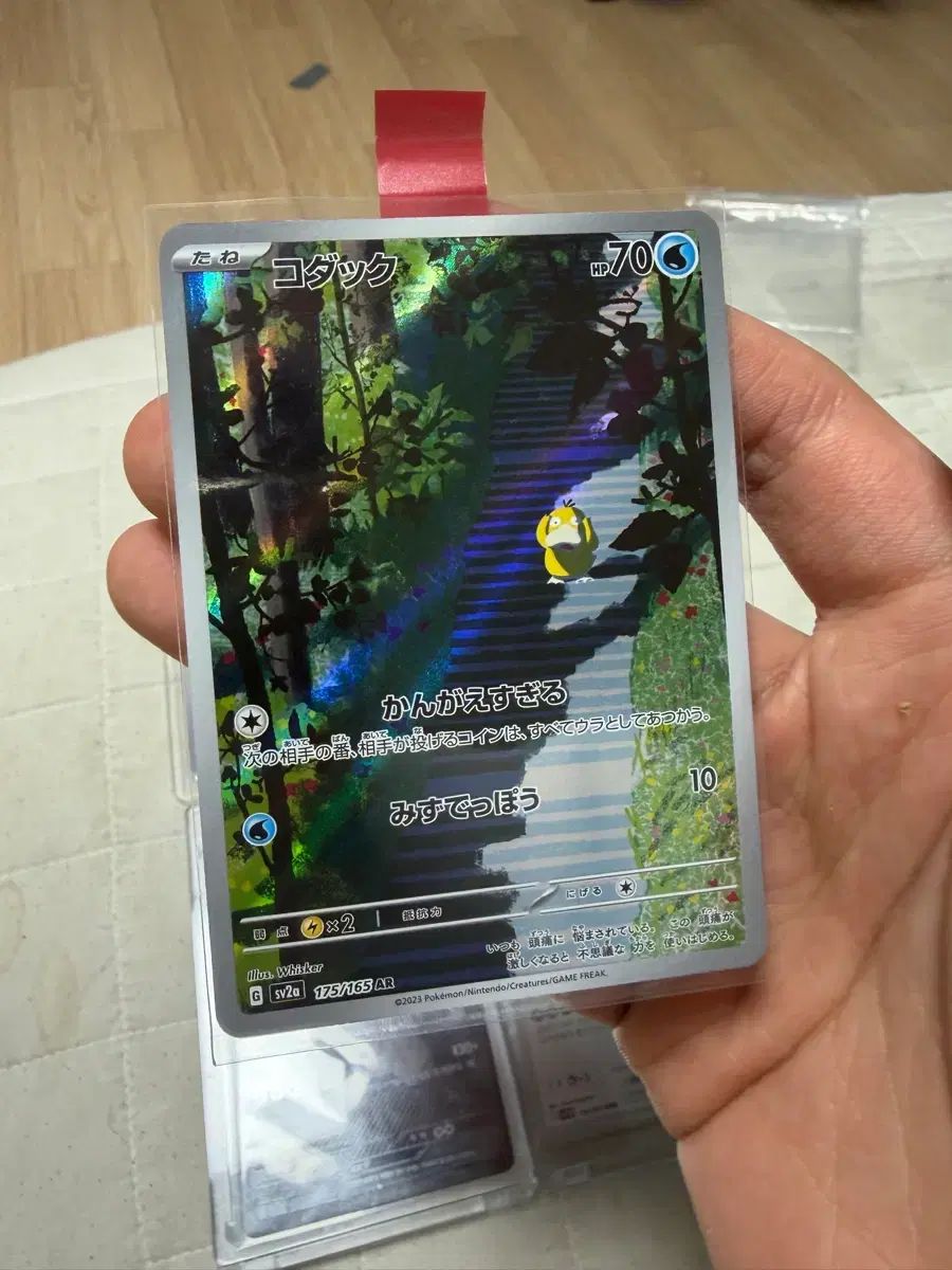 ゴーラパDuck 151 AR