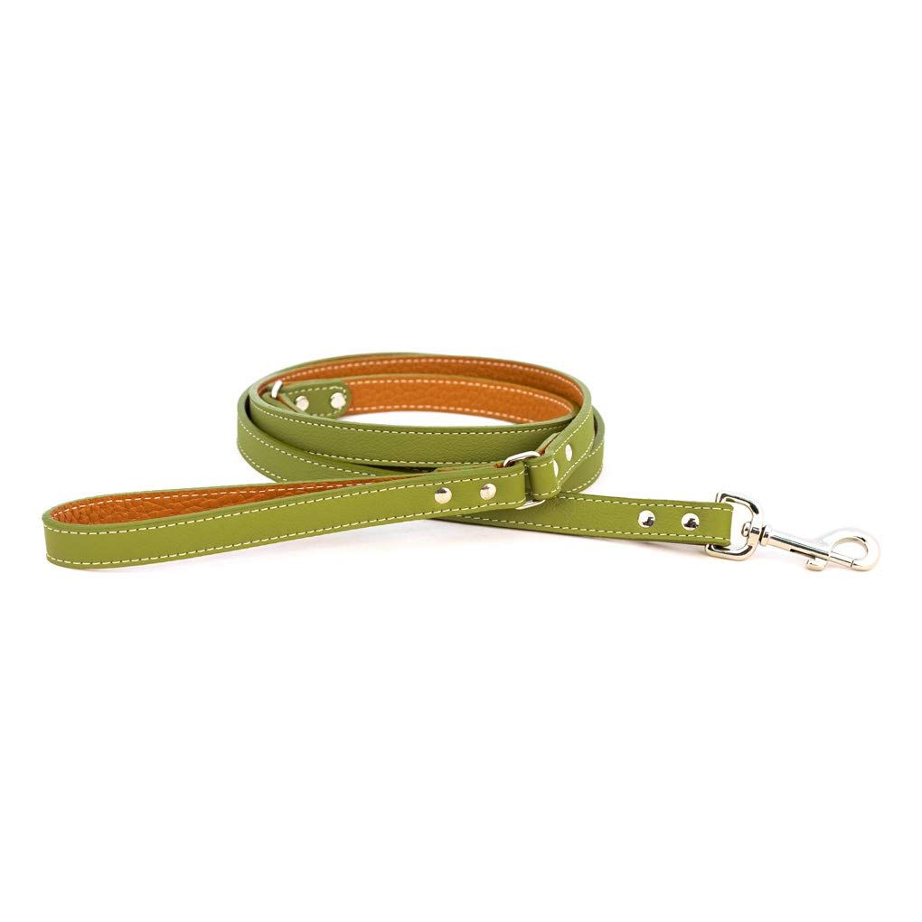 Auburn Leathercrafters リード リーシュ 犬 TUSCANY LEASH 太さ:1.3cm×長さ:121.9cm GREEN