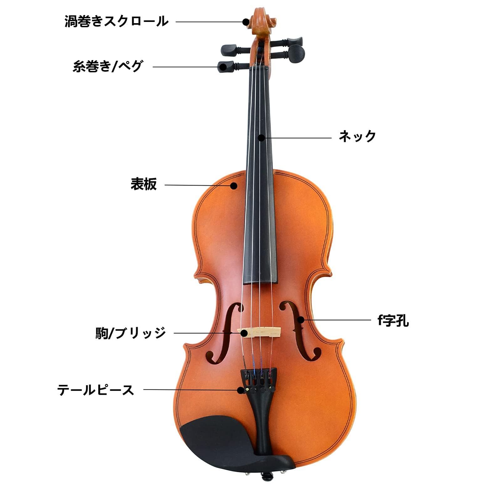 新品 BQKOZFIN バイオリン 4/4 初心者用バイオリン ヴァイオリン 弓2本