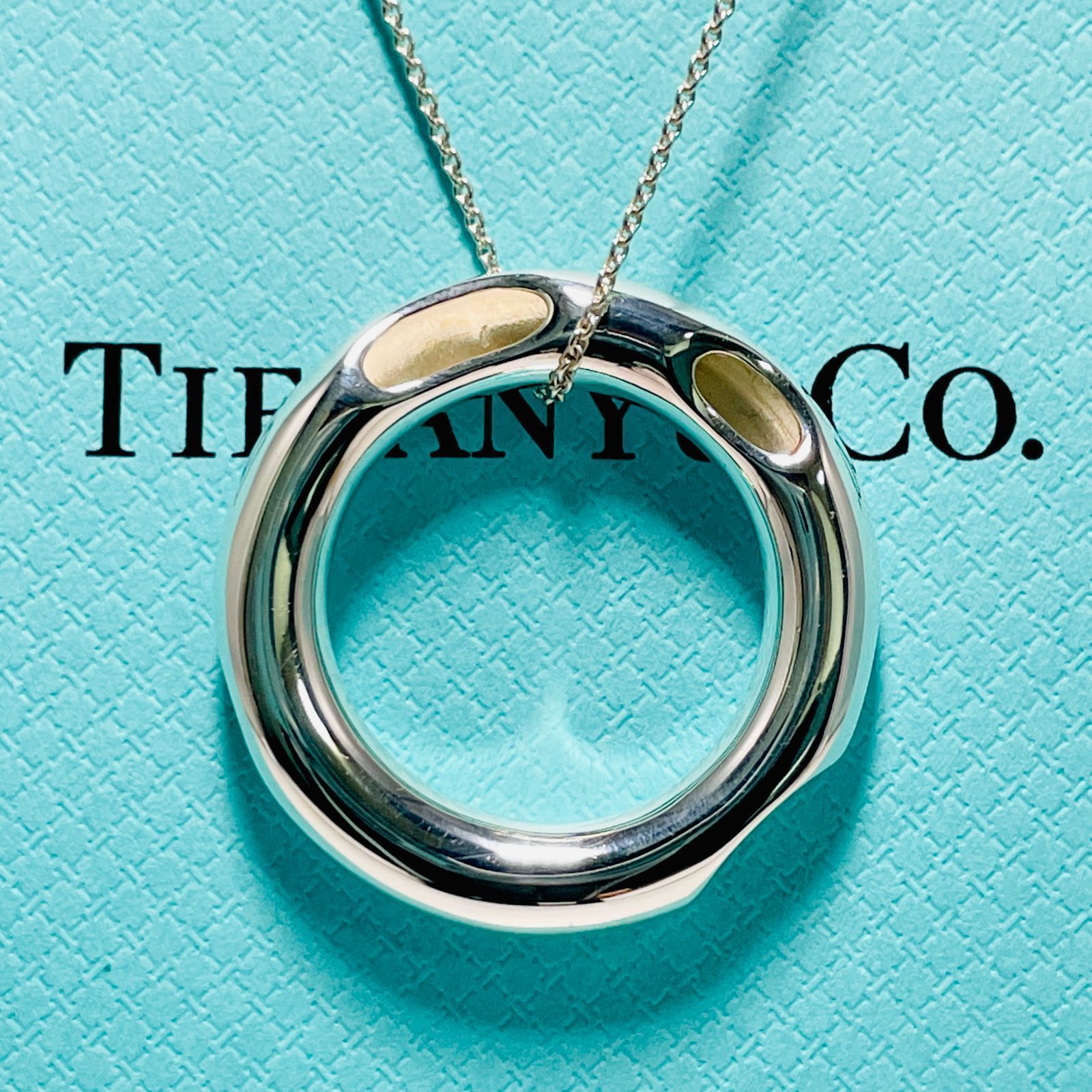 希少 ティファニー フランクゲーリー サークル ネックレス シルバー TIFFANY&Co.24-368