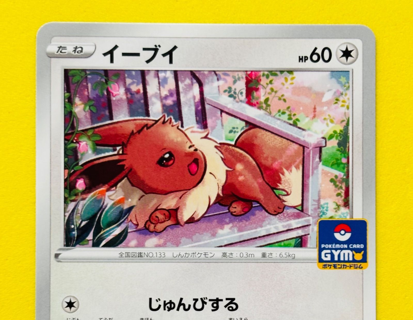 【38枚】ポケモンカード ジムプロモ　181/S-P　イーブイ　じゅんびする 匿名配送】ポケモンカード☆イーブイ☆ジムプロモ☆プロモ☆じゅんび